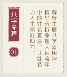 乐山起名流程一